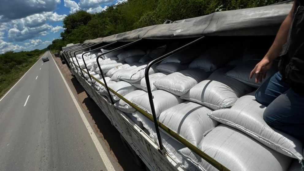 Contrabando de cereales por más de 5 millones de pesos