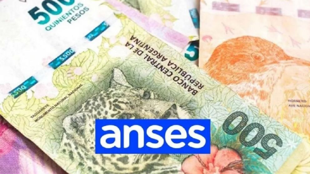Anses: cronograma de pagos de enero 2023