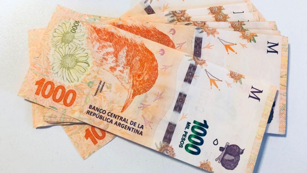 Nuevo bono de Anses en enero 2023