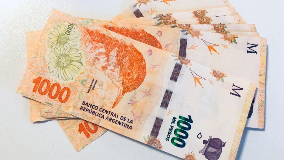 Mi Anses: ¿cuándo cobro?