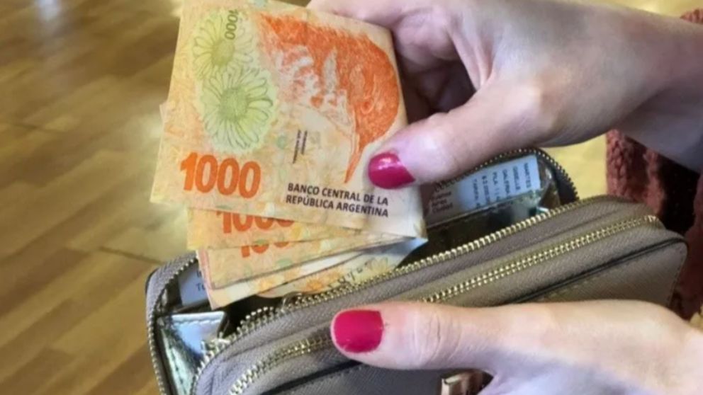 Fecha de cobro Anses