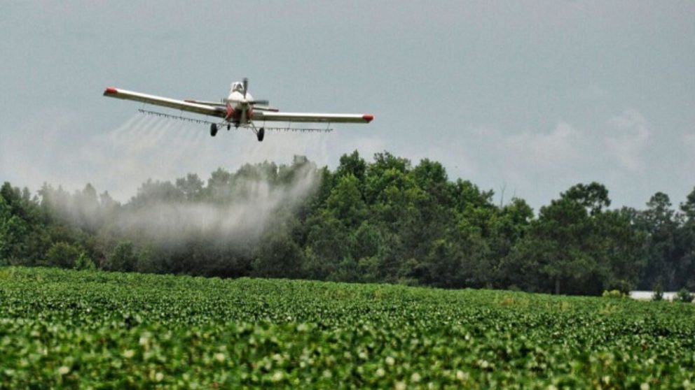 Se analiza el factor ambiental en la región