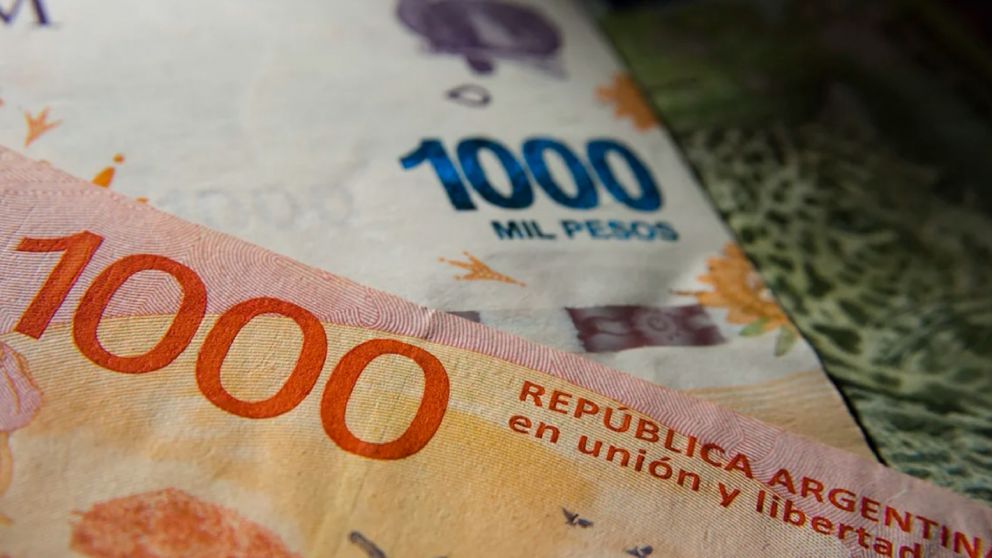 Asistencia del Ministerio de Desarrollo Social