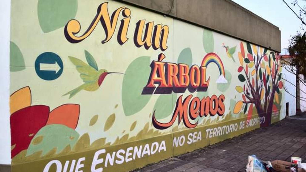 Vecinos denuncian destrucción ambiental en Ensenada