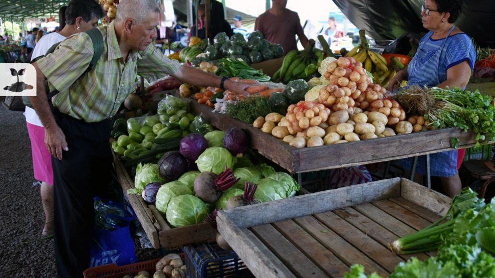 A excepción de la fruta, que bajó un 3% en el conjunto de la UE, se registró un aumento de precio en todos los grupos de productos agrícolas
