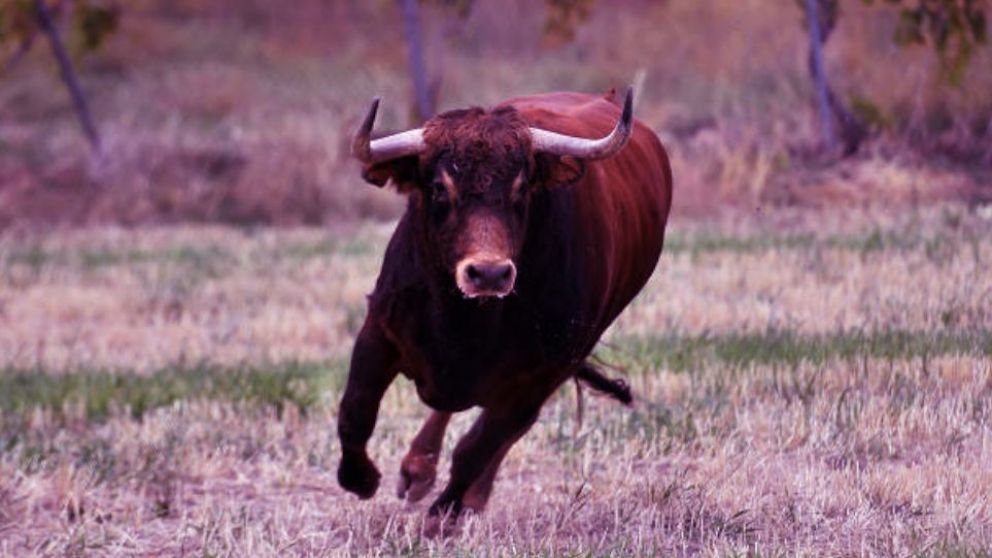 Expertos opinan que BTC está infravalorado y un rebote en el precio de bitcoin
sería inminente