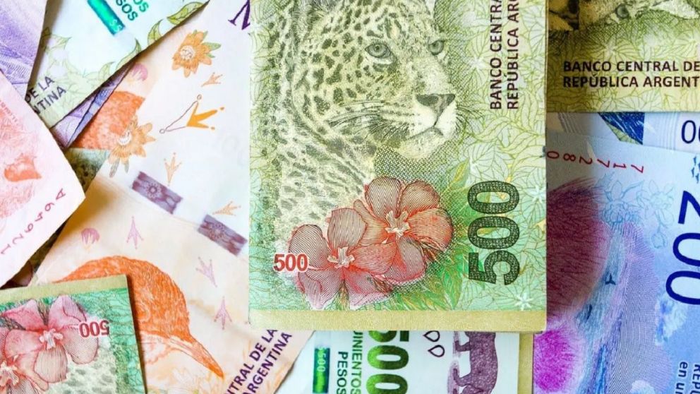 Mi Anses: cronograma de pagos en diciembre 2022