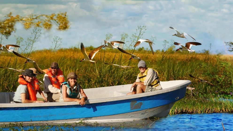 Parque Nacional Iberá en Corrientes