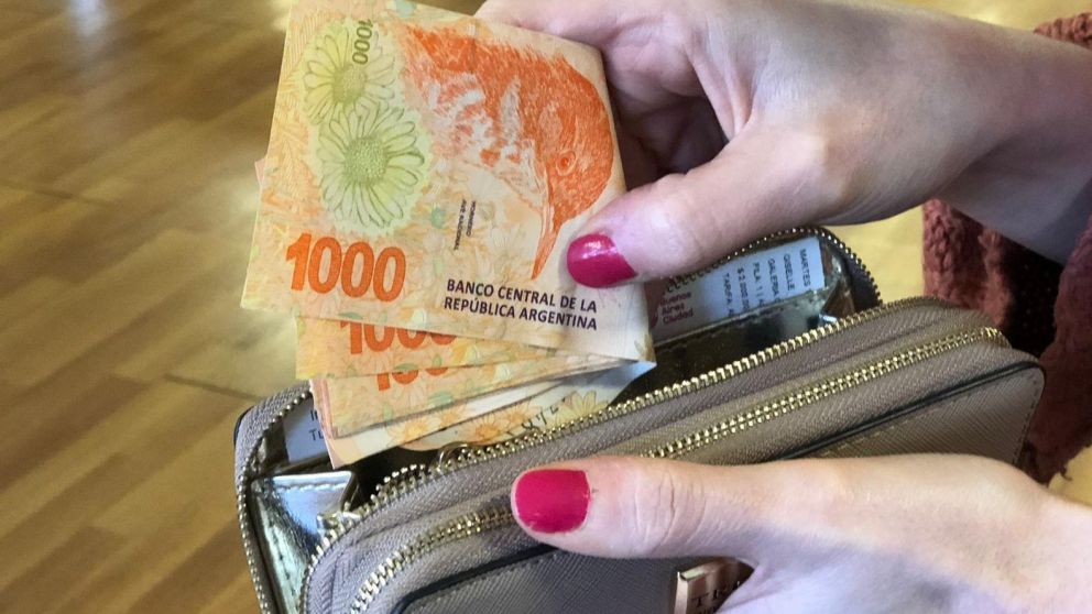 Asignaciones de Pago Único Anses