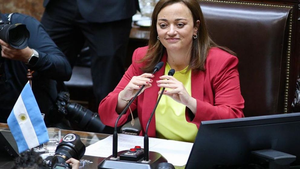 Moreau destacó los consensos obtenidos en la Cámara de Diputados y llamó a resolver diferencias con debate