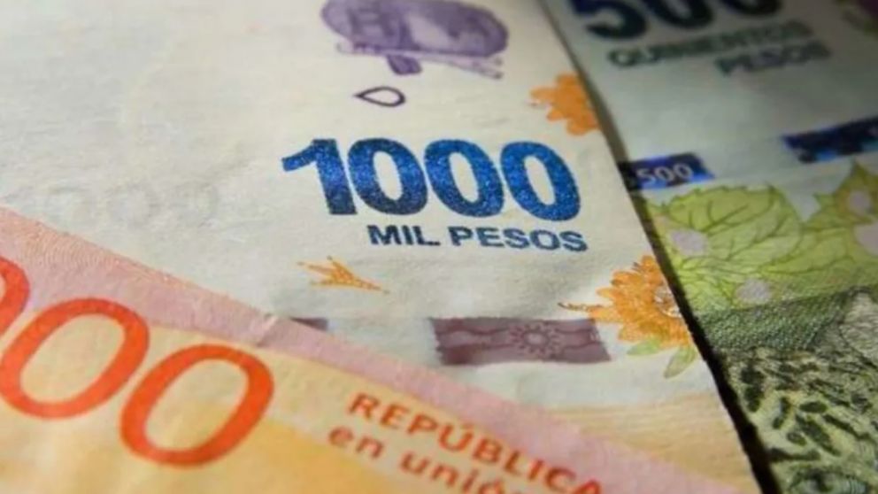 Bono de Anses: cuándo cobro