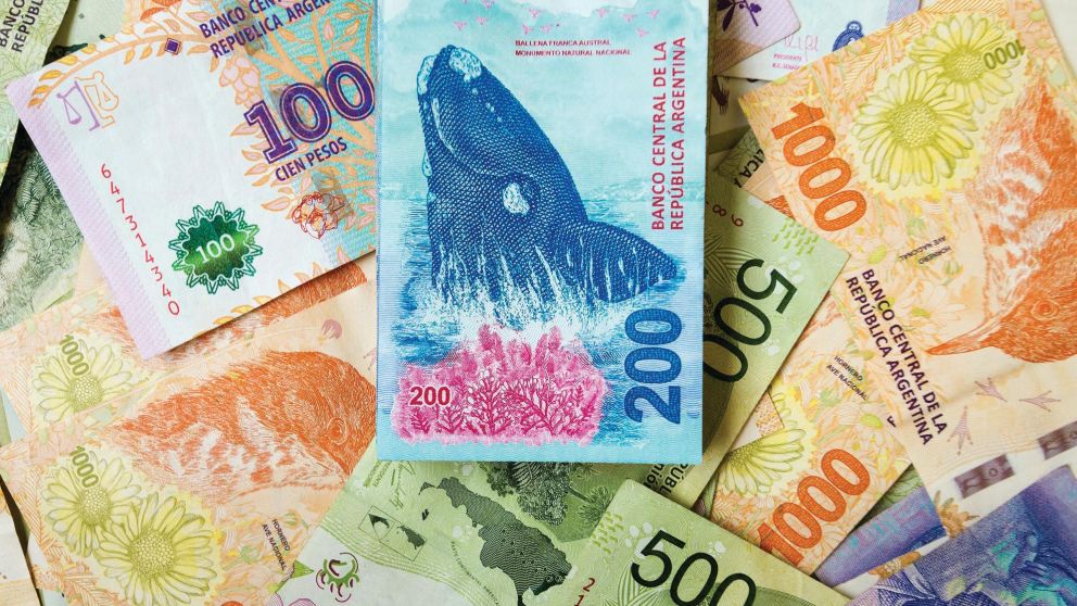 Cronograma de pagos diciembre 2022