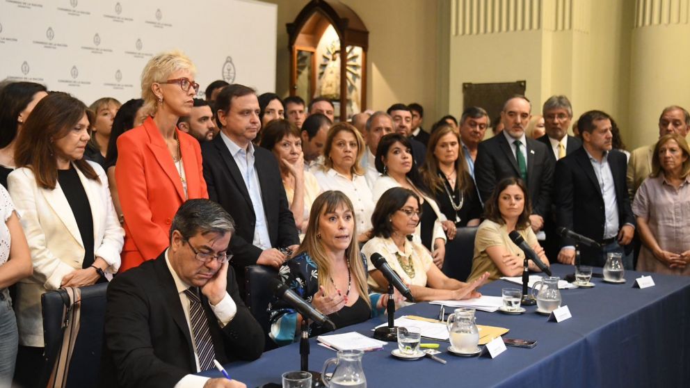 Senadores y diputados del FdT piden que se complete la integración del Consejo de la Magistratura