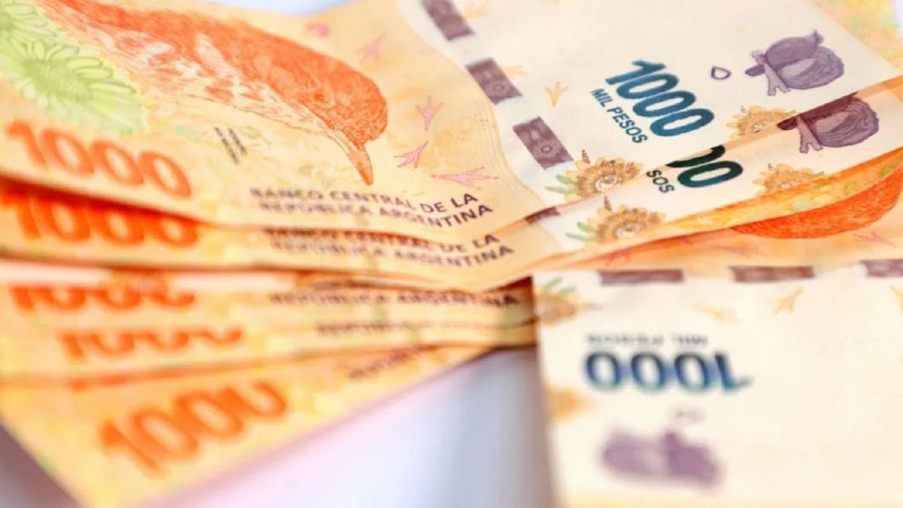 Fecha de cobro del bono