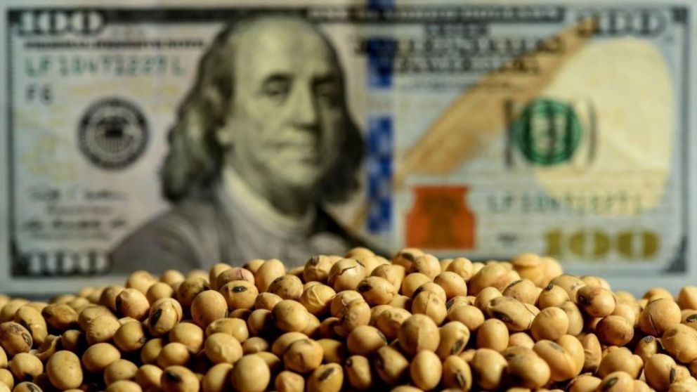 Dólar Navidad: la rentabilidad de los exportadores sojeros será del 40%