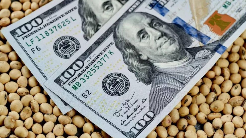 Cuestionaron la implementación del nuevo dólar soja