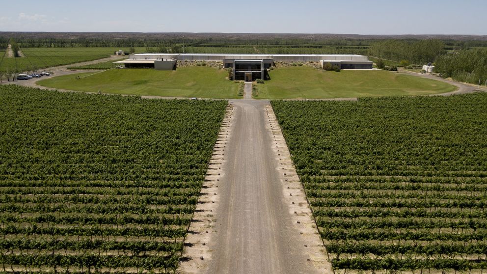 Enoturismo: el 47% de los que van dicen no conocer demasiado sobre vino