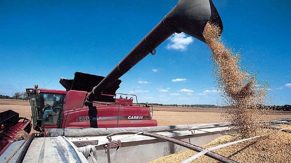Buscarán más mercados donde enviar productos