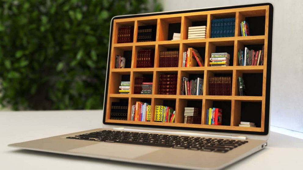 Piratería de libros por parte de dos rusos