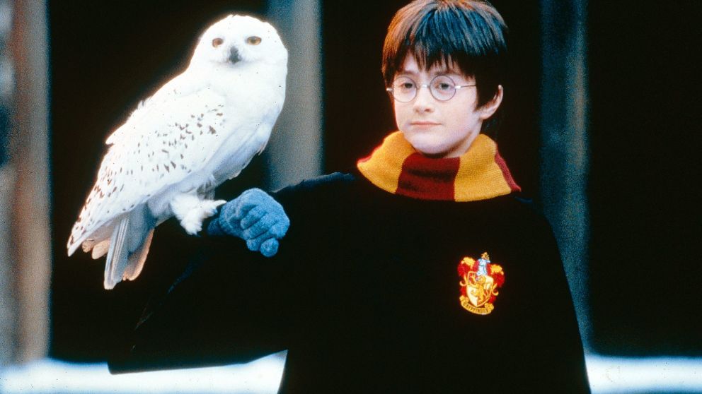 En Harry Potter, el protag�nico de Daniel Radcliffe le permiti� la fama mundial