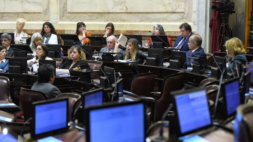 Senado: el FdT aprobó el Presupuesto y votó las designaciones a la Magistratura en desafío a la Corte Suprema