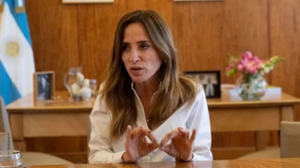 Tolosa Paz dijo que beneficiarios del Potenciar Trabajo deber�n "validar su identidad".