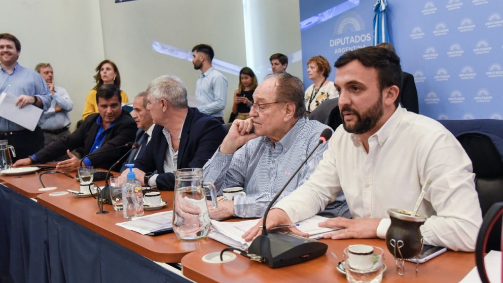 Ley de Humedales: las deserciones propias hicieron fracasar el proyecto del FdT y JxC se quedó con el dictamen de mayoría