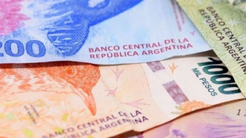 Cronograma de pagos Anses noviembre 2022