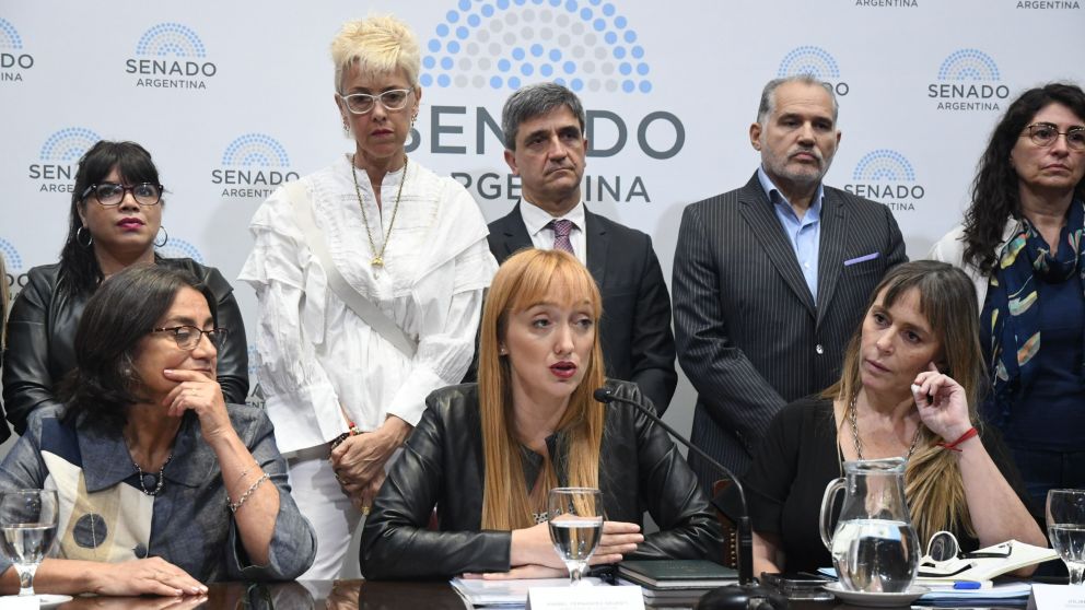 Senadores del Frente de Todos rechazaron el fallo de la Corte Suprema