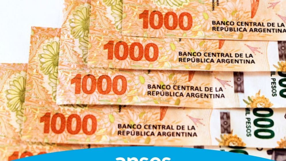 Será necesario contar con CUIL y clave de seguridad social para acceder al plus de Anses