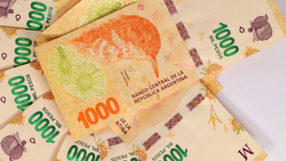 Mi Anses: créditos para AUH