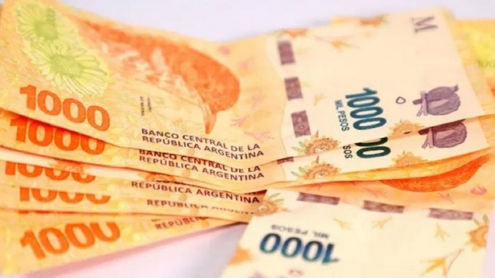 Asistencias de Anses; noviembre 2022