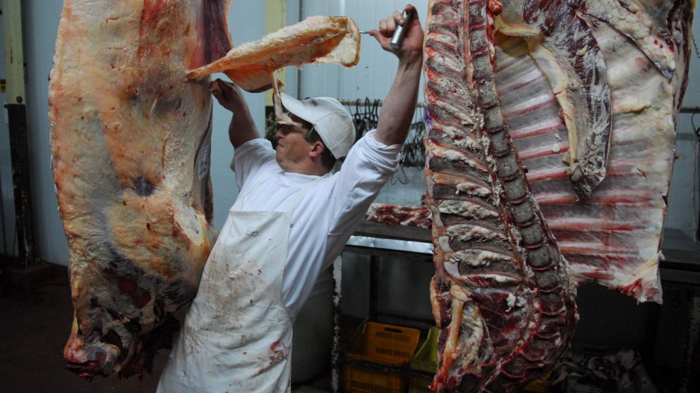 El "fenómeno China" disparó un 63% las exportaciones de carne vacuna en el primer semestre del 2018