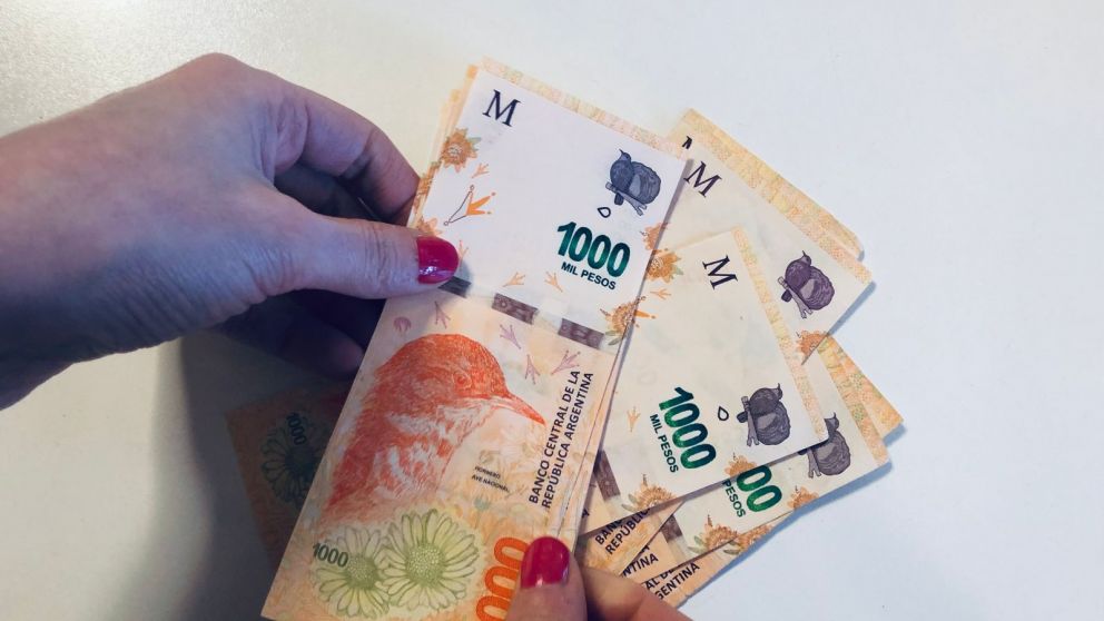 anses.gob.ar gestionar� la inscripci�n al bono