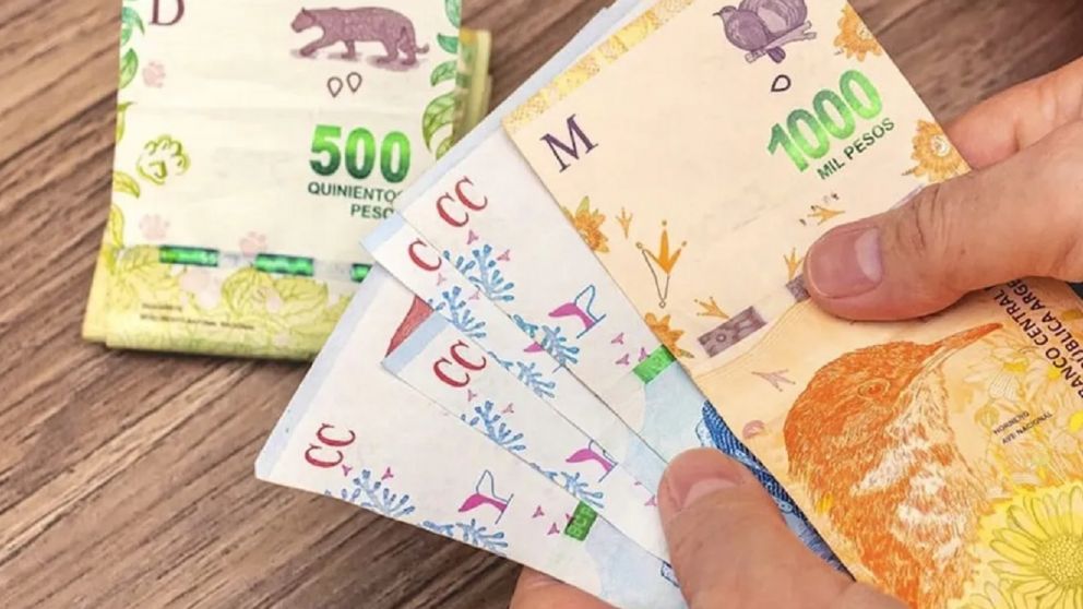 Cuándo cobro Anses: Tarjeta Alimentar octubre 2022