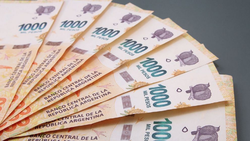 Fechas de cobro Anses octubre 2022