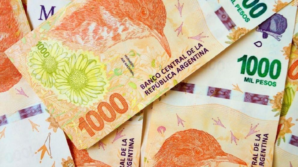 Cronograma de pagos Tarjeta Alimentar agosto