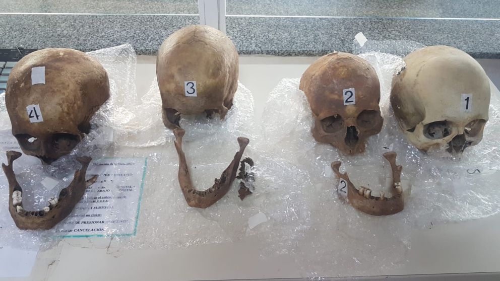 Macabro secuestro de la Aduana en Formosa: cuatro calaveras humanas en una valija