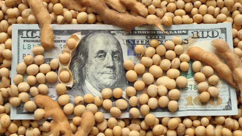 El BCRA acumuló 19 jornadas seguidas de compra