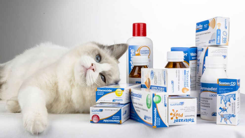 Biogénesis Bagó compra laboratorio local especializado en mascotas
