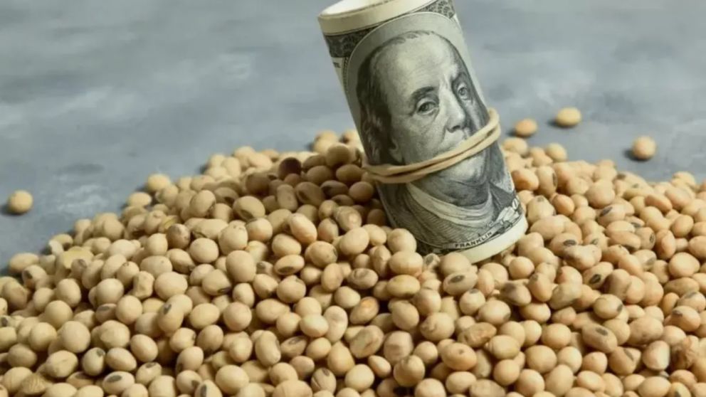 El Banco Central prohibió el acceso al mercado de cambios a empresas que liquidaron dólares a $200