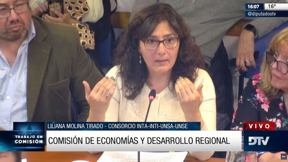 Se realizó la jornada "Economías regionales, estado de situación y potencialidades", en Diputados