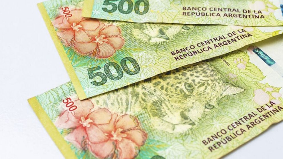 Asistencia económica para beneficiarios de Anses