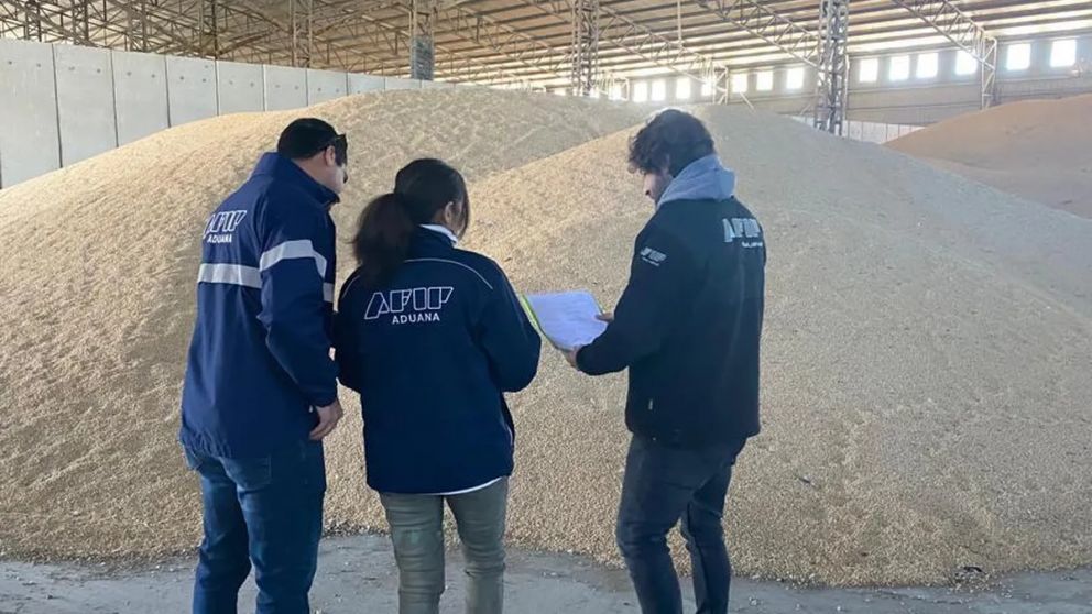 Cerealeras "truchas": allanamientos  por no ingresar divisas 