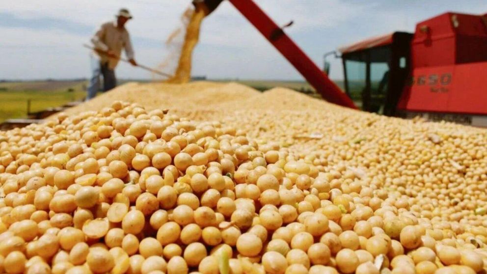La Mesa de Enlace descree de los incentivos para vender soja