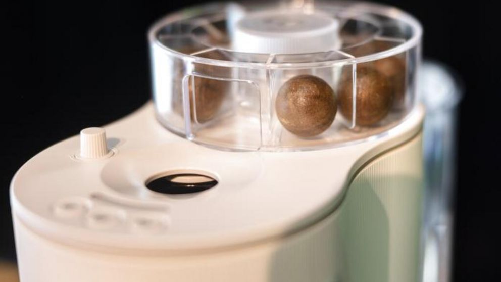 Las bolas de café está recubiertas por algas