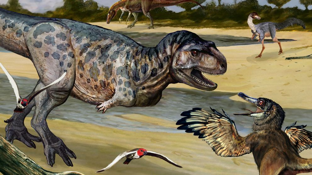 Descubren una nueva especie de dinosaurio depredador en Neuquén