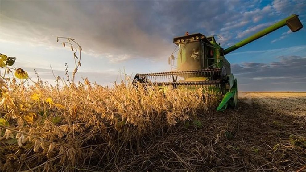Las CTA coinciden que en lugar de sancionar a los productores por especulaci�n el Gobierno les brinda  incentivos