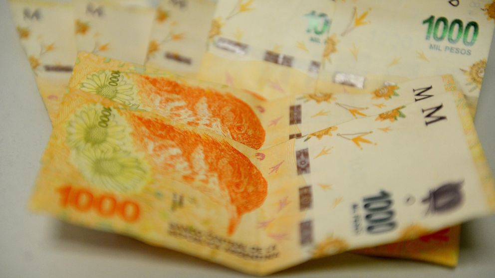 Bono Anses para trabajadores en blanco