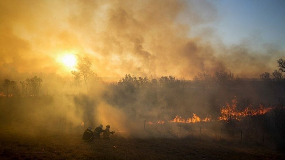 Desde principios de agosto se quemaron más de 20.000 hectáreas en distintas zonas del Delta del Paraná